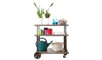 Console m&eacute;tal sur roulettes industrielle CHARIOT