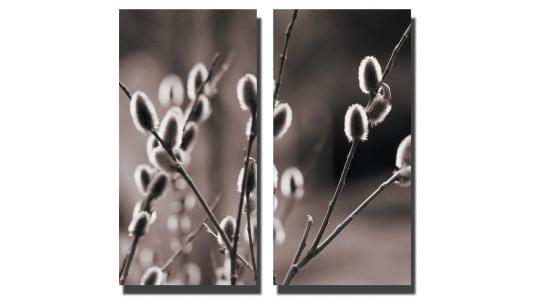 Set de 2 Tableaux CHARDON image 1
