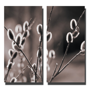 Set de 2 Tableaux CHARDON image pub1
