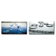 Set de 2 Tableaux WATERLILY image pub1