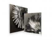 Tableau contemporain Flowers (lot de 2)