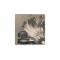 Tableau contemporain Flowers (lot de 2)