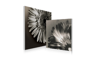Tableau contemporain Flowers (lot de 2)
