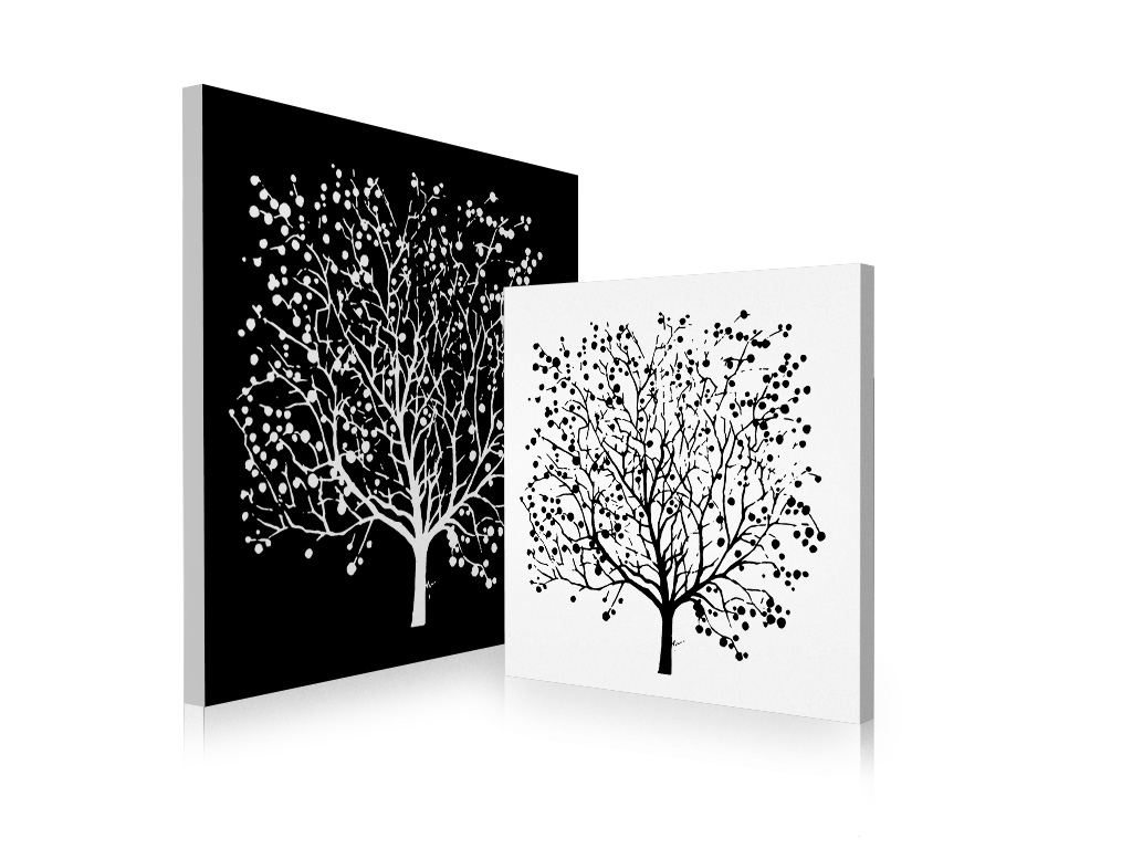 Tableau contemporain noir et blanc Spring (lot de 2)