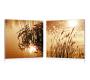 Tableau design SEPIA (lot de 2)