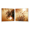 Tableau design SEPIA (lot de 2)