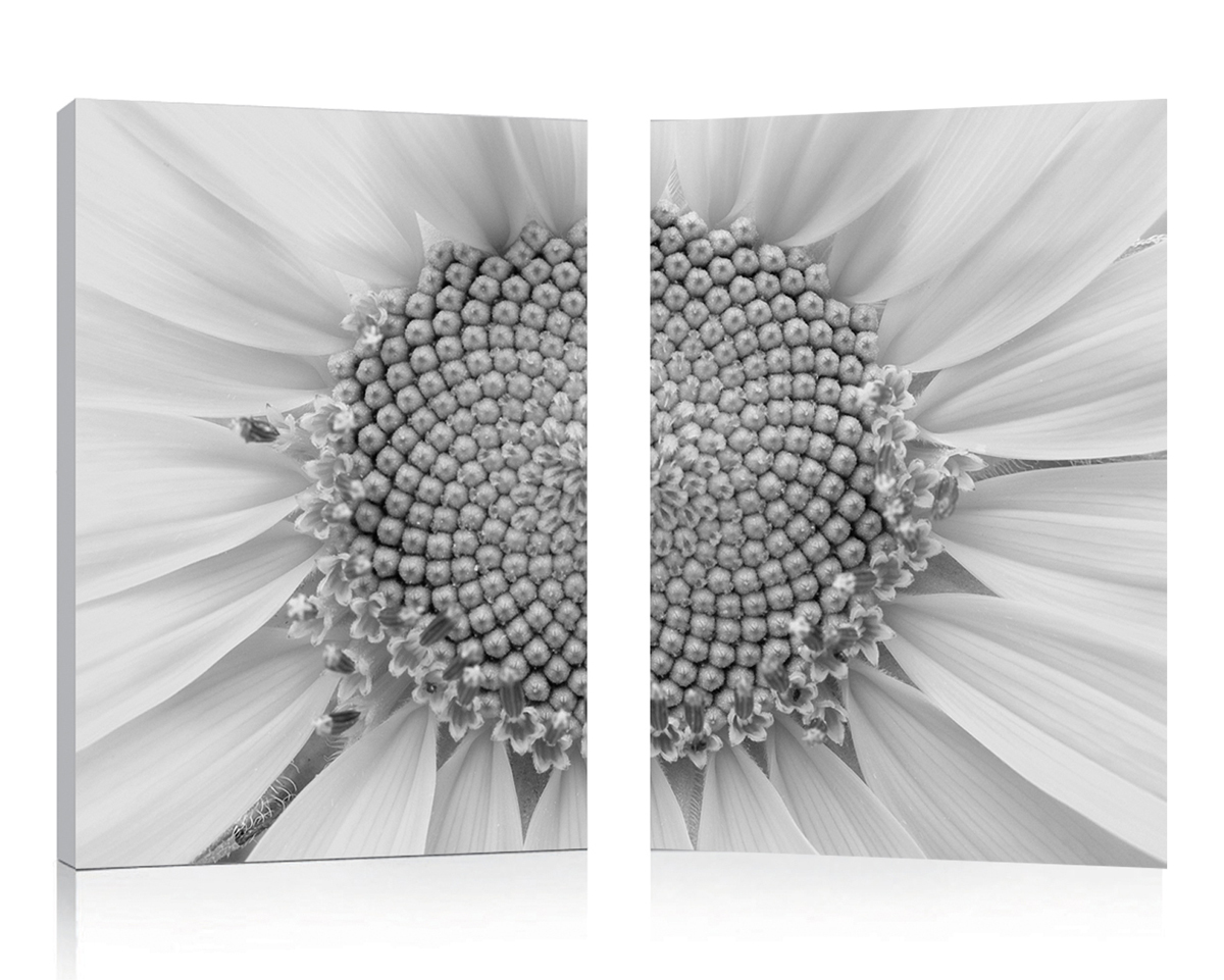 Tableau moderne Daisy (lot de 2)