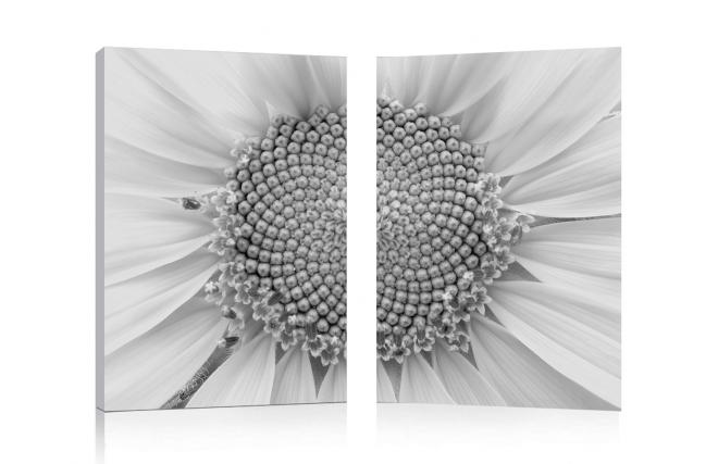 Tableau moderne Daisy (lot de 2)