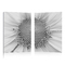 Tableau moderne Daisy (lot de 2)