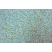 Tapis blanc EDELWEISS image pub1