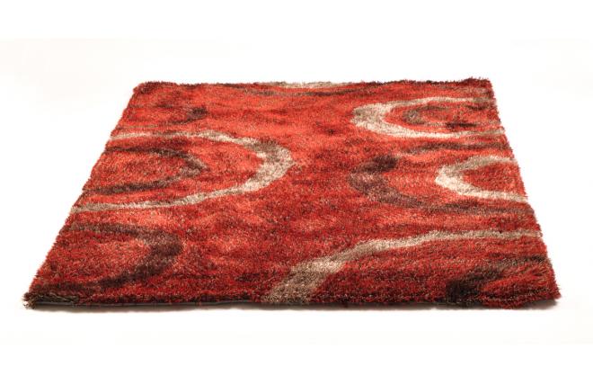 Tapis moderne rouge avec motifs Aloes