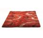 Tapis moderne rouge avec motifs Aloes