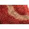 Tapis moderne rouge avec motifs Aloes