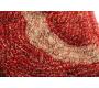 Tapis moderne rouge avec motifs Aloes