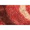 Tapis moderne rouge avec motifs Aloes