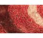 Tapis moderne rouge avec motifs Aloes