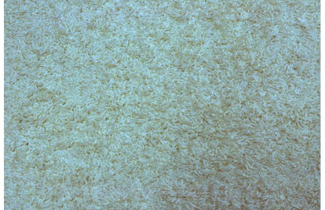 Tapis shaggy blanc EDELWEISS