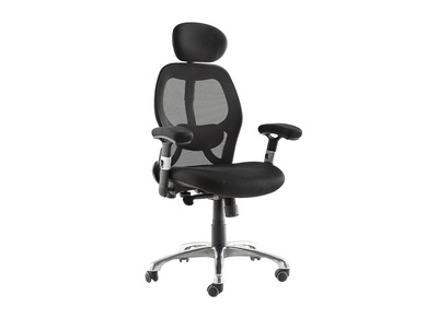 Fauteuil de bureau ergonomique Ultimate v2 plus - Fauteuil de bureau ergonomique Ultimate v2 plus